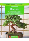 Bonsai w mieszkaniu