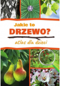 Jakie to drzewo Atlas dla dzieci