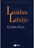 Teoria pola