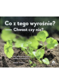 Co z tego wyrośnie? Chwast czy nie?