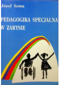 Pedagogika specjalna w zarysie