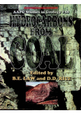 Hydrocarbons from Coal
