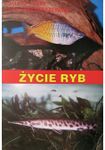 Życie ryb
