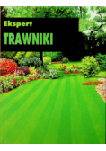 Ekspert Trawniki