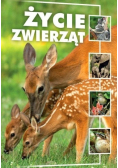 Życie zwierząt