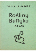 Rośliny Bałtyku