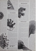 Ilustracje prasowe z "Gazety Wyborczej" z lat 1992-1998