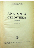 Anatomia człowieka