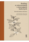 Rośliny w wierzeniach i zwyczajach ludowych. Słownik Adama Fischera