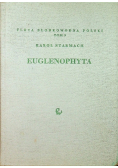 Euglenophyta