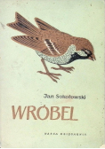 Wróbel