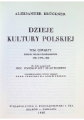 Dzieje kultury polskiej Tom IV