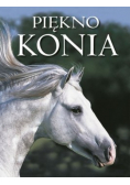 Piękno konia