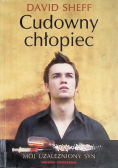 Cudowny chłopiec Mój uzależniony syn