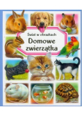 Domowe zwierzątka