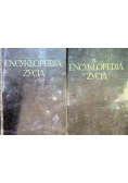 Encyklopedja życia Tom 1 i 2 1931 r.