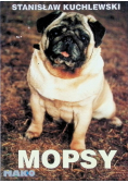Mopsy