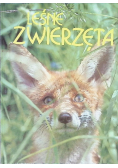 Leśne zwierzęta
