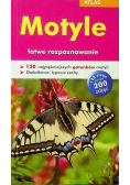 Atlas motyle