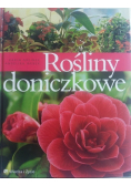 Rośliny doniczkowe