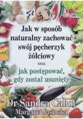 Jak w sposób naturalny zachować swój pęcherzyk żółciowy