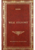 Wilk stepowy