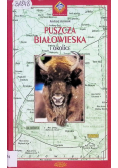 Puszcza Białowieska i okolice