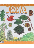 Drzewa Cechy charakterystyczne, rozpoznawanie