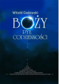 Boży pył codzienności