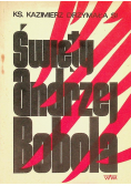 Święty Andrzej Bobola