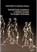 Historyczne nazwiska ludności Olesna na Śląsku Opolskim