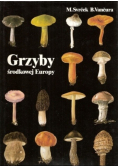 Grzyby środkowej Europy