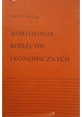 Morfologia bodźców ekonomicznych