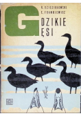 Dzikie gęsi