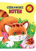 Ciekawski kotek
