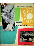 Rok w puszczy