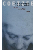 Wiek żelaza