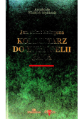 Komentarz do Ewangelii Jana