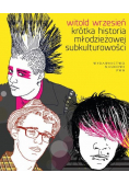 Krótka historia młodzieżowej subkulturowości