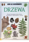 Patrzę Podziwiam Poznaję Drzewa