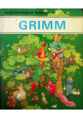 Grimm Najpiękniejsze baśnie