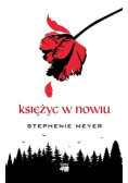 Księżyc w nowiu