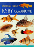 Ściąga z języka polskiego