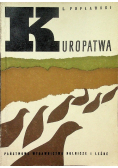 Kuropatwa