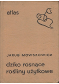Dziko rosnące rośliny użytkowe