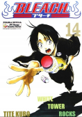 Bleach Tom 14