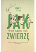 Jak zwierzę