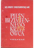 Pieśń bezimiennego krzyżowca
