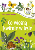 Co wiosną kwitnie w lesie
