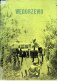 Węgorzewo